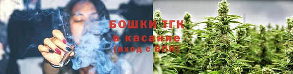 дурь Покачи