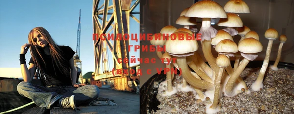 эйфоретик Покров