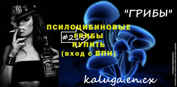 дурь Покачи
