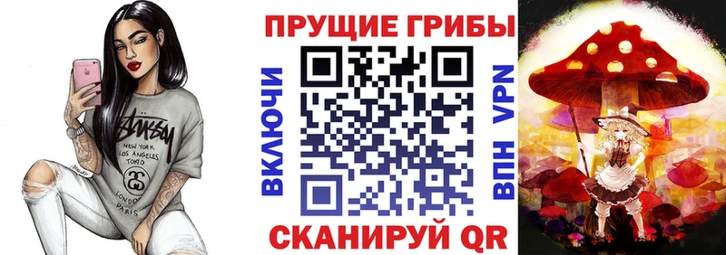как найти закладки  Боготол  Псилоцибиновые грибы Cubensis 